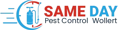 Same Day Pest Control Wollert