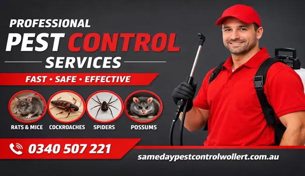 Pest Control Wollert Pest Control Wollert